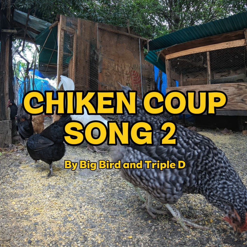 Chiken Coup Song 2 Cover